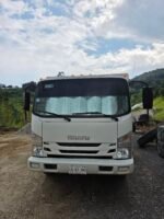 Isuzu Elf 400 2008 con Cama Plana 6 m. x 2 m. - Image 10